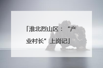 淮北烈山区：“产业村长”上岗记