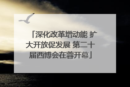 深化改革增动能 扩大开放促发展 第二十届西博会在蓉开幕