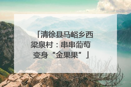 清徐县马峪乡西梁泉村：串串葡萄变身“金果果”
