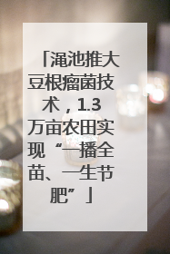 渑池推大豆根瘤菌技术，1.3万亩农田实现“一播全苗、一生节肥”