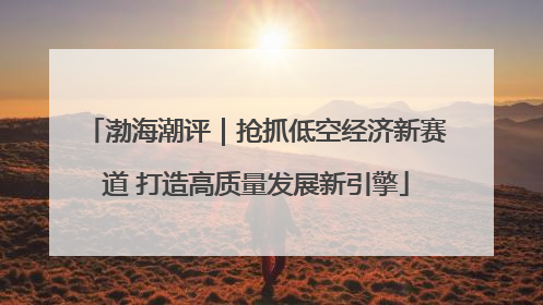 渤海潮评｜抢抓低空经济新赛道 打造高质量发展新引擎