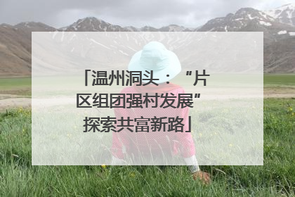 温州洞头：“片区组团强村发展”探索共富新路