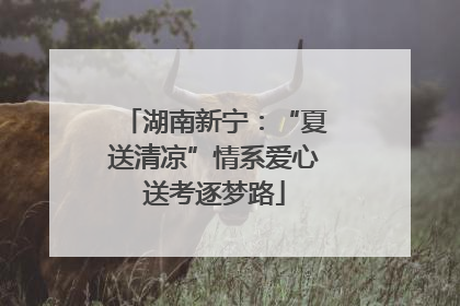 湖南新宁：“夏送清凉”情系爱心送考逐梦路