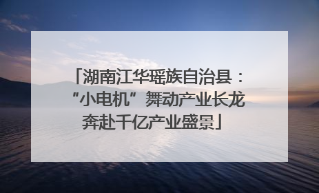 湖南江华瑶族自治县：“小电机”舞动产业长龙 奔赴千亿产业盛景