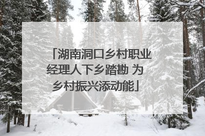 湖南洞口乡村职业经理人下乡踏勘 为乡村振兴添动能