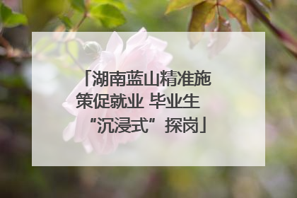 湖南蓝山精准施策促就业 毕业生“沉浸式”探岗