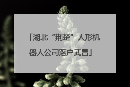 湖北“荆楚”人形机器人公司落户武昌