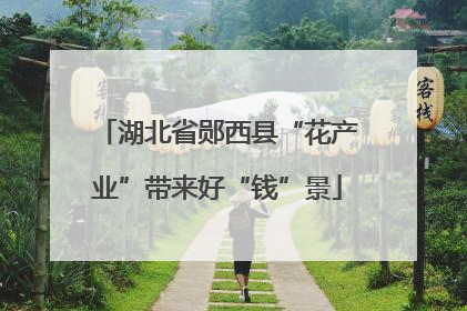 湖北省郧西县“花产业”带来好“钱”景