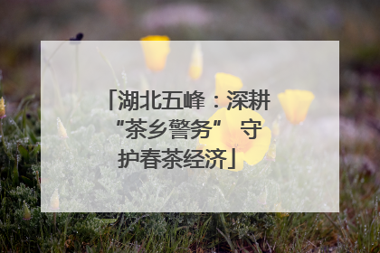 湖北五峰：深耕“茶乡警务” 守护春茶经济