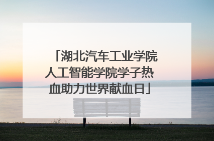 湖北汽车工业学院人工智能学院学子热血助力世界献血日