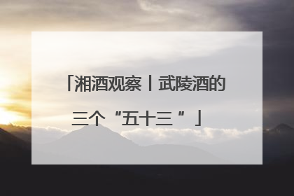 湘酒观察丨武陵酒的三个“五十三 ”