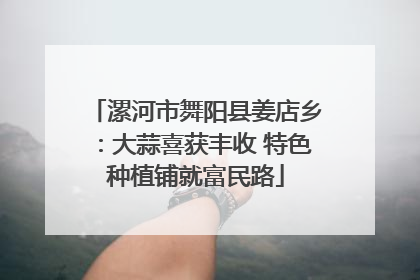漯河市舞阳县姜店乡：大蒜喜获丰收 特色种植铺就富民路