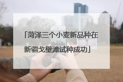 菏泽三个小麦新品种在新疆戈壁滩试种成功