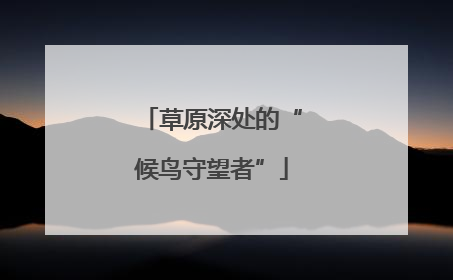 草原深处的“候鸟守望者”