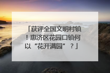 获评全国文明村镇！惠济区花园口镇何以“花开满园”？