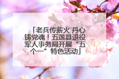 老兵传薪火 丹心铸党魂！五莲县退役军人事务局开展“五个一”特色活动