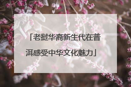 老挝华裔新生代在普洱感受中华文化魅力