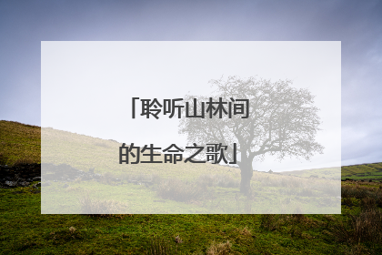 聆听山林间的生命之歌