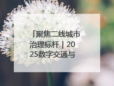 聚焦二线城市治理标杆｜2025数字交通与安全创新大会在保定隆重开幕