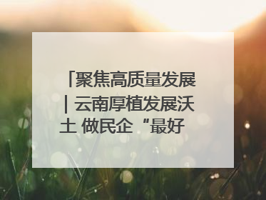 聚焦高质量发展｜云南厚植发展沃土 做民企“最好合伙人”