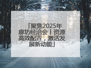 聚焦2025年廊坊经洽会丨资源高效配置，激活发展新动能
