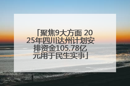 聚焦9大方面 2025年四川达州计划安排资金105.78亿元用于民生实事