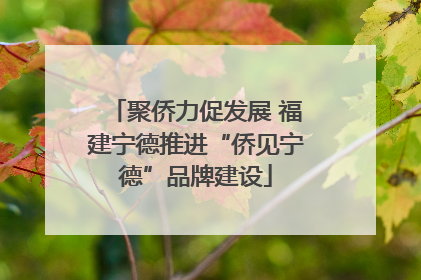 聚侨力促发展 福建宁德推进“侨见宁德”品牌建设