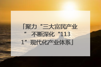 聚力“三大富民产业” 不断深化“1131”现代化产业体系