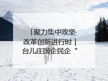 聚力集中攻坚·改革创新进行时｜台儿庄国企民企“联姻”记