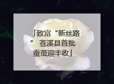 致富“新丝路” 苍溪县首批蚕茧迎丰收