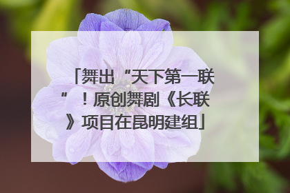 舞出“天下第一联”！原创舞剧《长联》项目在昆明建组