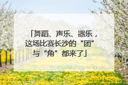 舞蹈、声乐、器乐，这场比赛长沙的“团”与“角”都来了