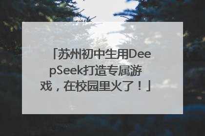 苏州初中生用DeepSeek打造专属游戏，在校园里火了！