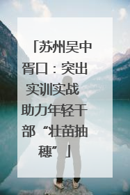 苏州吴中胥口：突出实训实战 助力年轻干部“壮苗抽穗”