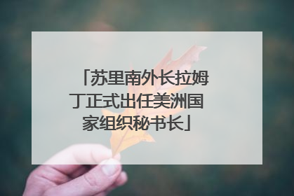 苏里南外长拉姆丁正式出任美洲国家组织秘书长