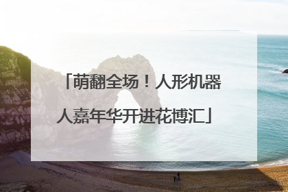 萌翻全场！人形机器人嘉年华开进花博汇