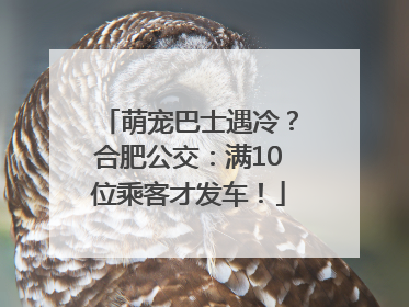 萌宠巴士遇冷？合肥公交：满10位乘客才发车！