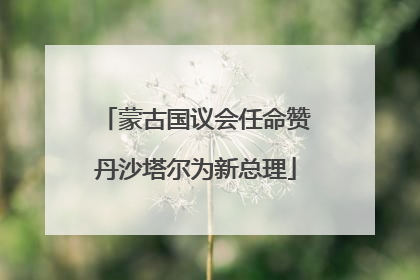 蒙古国议会任命赞丹沙塔尔为新总理