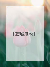 蒲城瓜农
