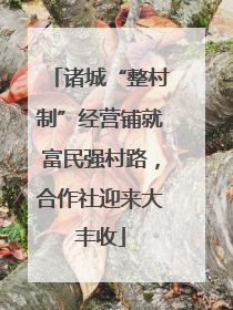 诸城“整村制”经营铺就富民强村路，合作社迎来大丰收