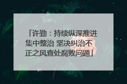 许勤：持续纵深推进集中整治 坚决纠治不正之风查处腐败问题