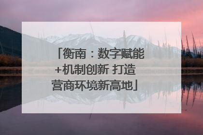 衡南：数字赋能+机制创新 打造营商环境新高地