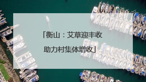 衡山：艾草迎丰收 助力村集体增收