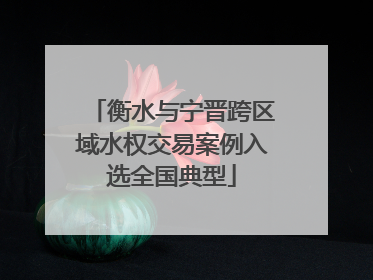 衡水与宁晋跨区域水权交易案例入选全国典型