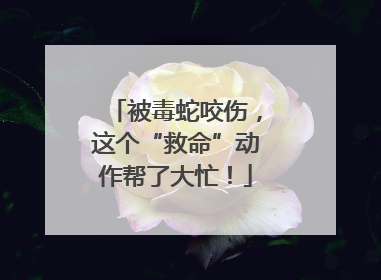 被毒蛇咬伤，这个“救命”动作帮了大忙！