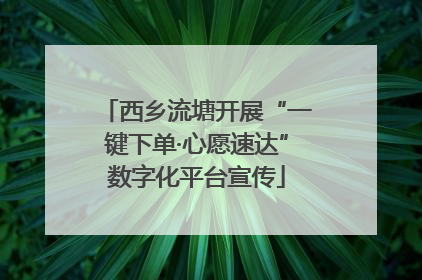 西乡流塘开展“一键下单·心愿速达”数字化平台宣传