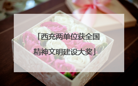 西充两单位获全国精神文明建设大奖