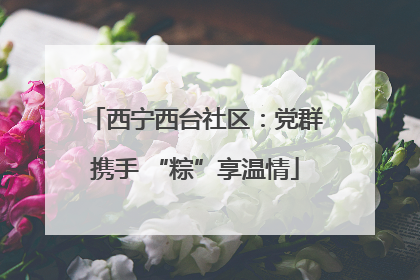 西宁西台社区：党群携手 “粽”享温情