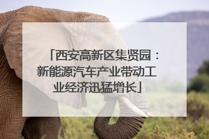 西安高新区集贤园：新能源汽车产业带动工业经济迅猛增长