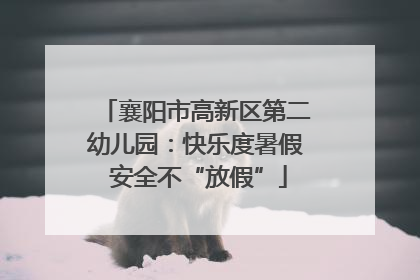 襄阳市高新区第二幼儿园：快乐度暑假 安全不“放假”